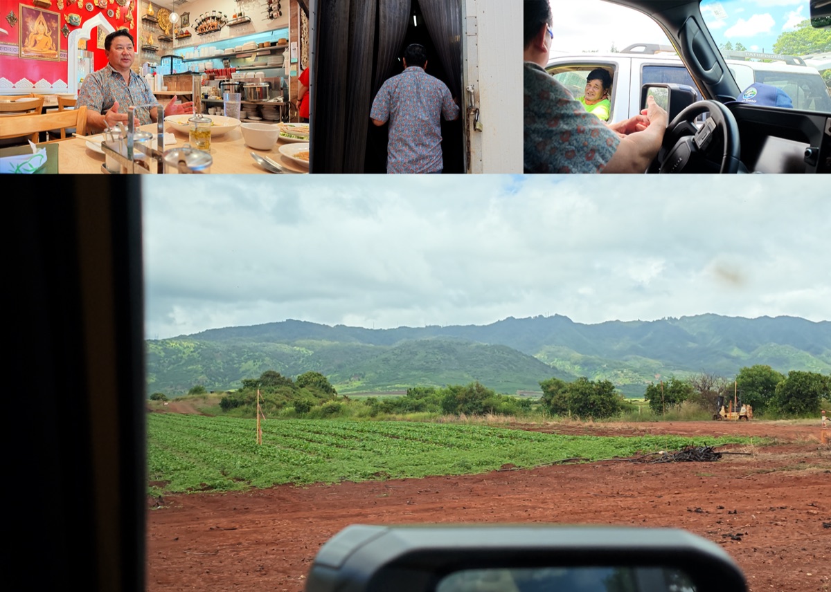 Preview collage: a conversation and a drive through farmland