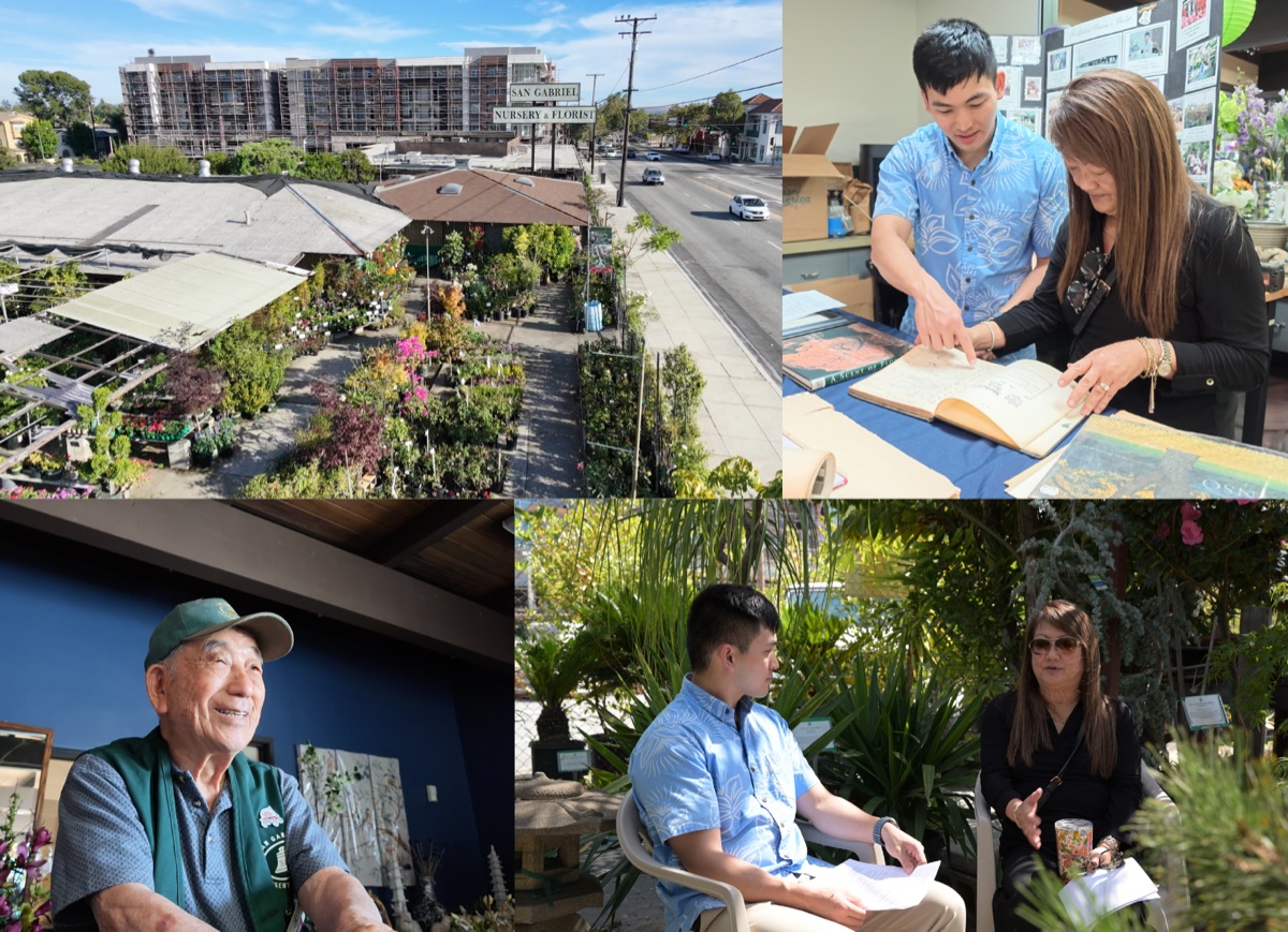 Preview collage: a nursery and conversations among the plants